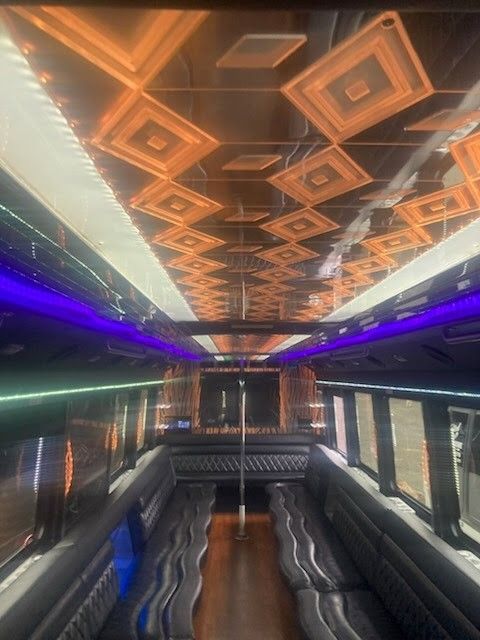 36-Passenger Party Bus interior 5