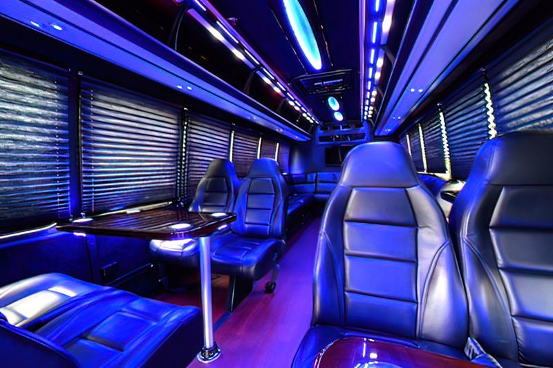 20 PASSENGER LIMO VAN exterior 3