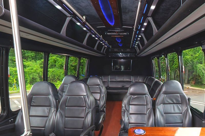 16 PASSENGER LIMO VAN - 16-passenger party bus exterior view