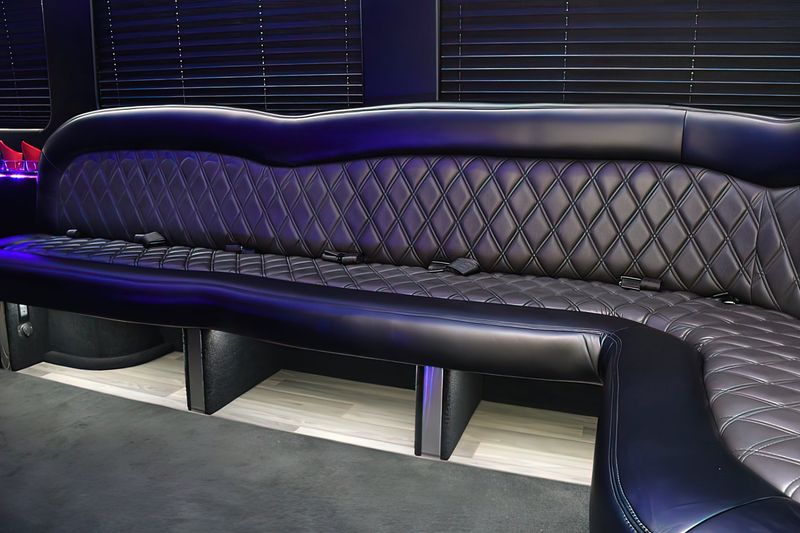 12 PAX MERCEDES PARTY BUS exterior 6
