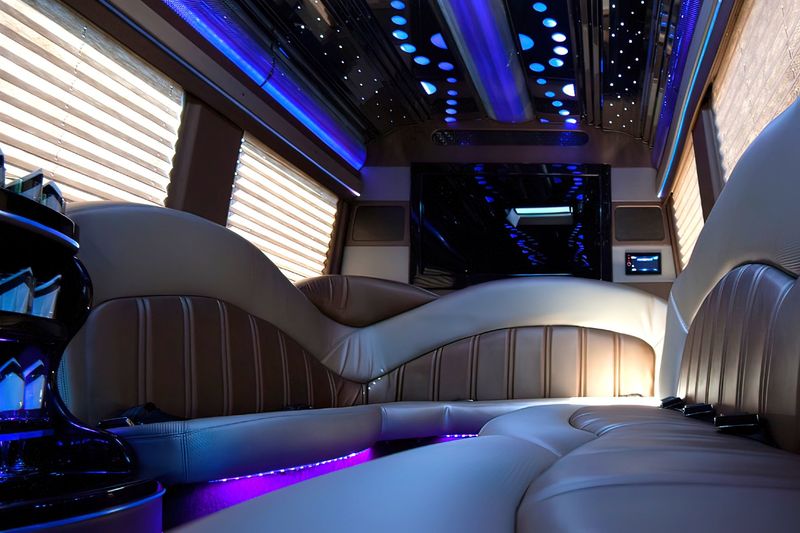 12 PAX Mercedes-Benz Sprinter Deluxe  Party Bus - Party Bus