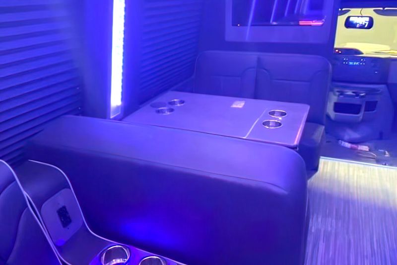 Party Bus 15 PAX - Party Bus