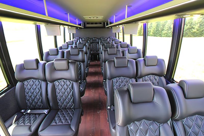 31 PASSENGER EXECUTIVE MINI COACH - Motor Coach